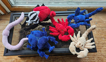 Load image into Gallery viewer, Scorpions