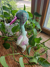 Load image into Gallery viewer, Cobra Lillies