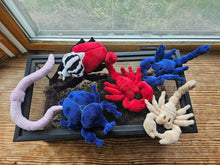 Load image into Gallery viewer, Scorpions