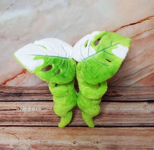 Load image into Gallery viewer, Variegated Monstera Sproutling