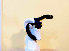 Load image into Gallery viewer, 2 Headed Snakes