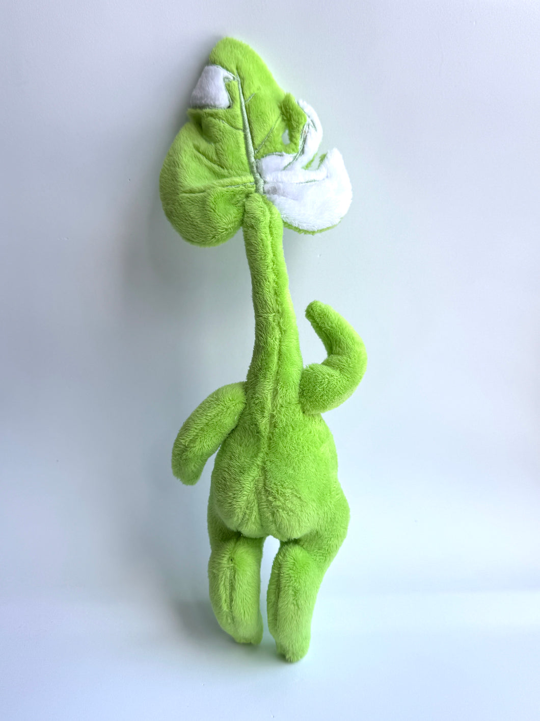 Variegated Monstera Sproutling