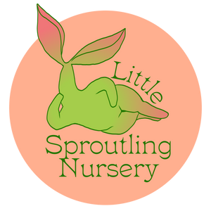 Little Sproutling Nursery